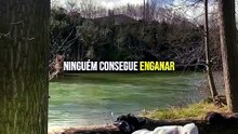 O Primeiro a Acreditar Na Sua Mentira é Você Mesmo