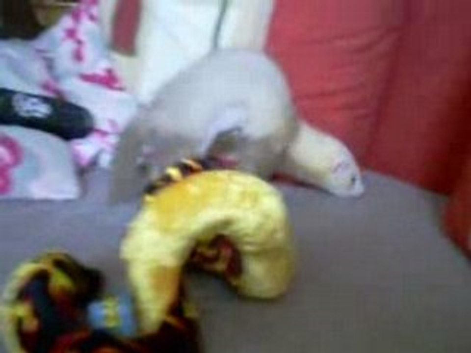 betameche apres sont operation