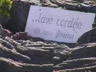 Mallo à La Réunion 3