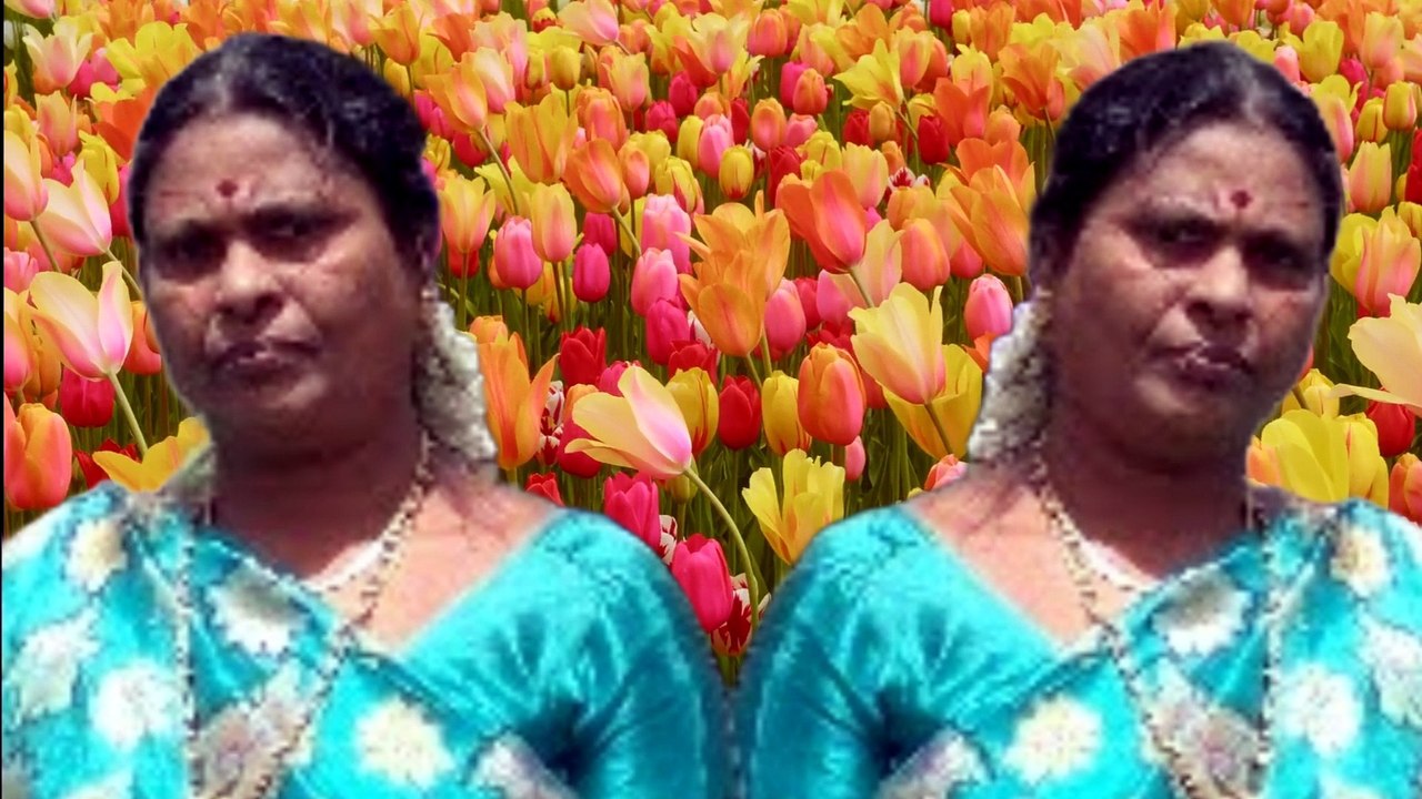 Aadadani Orachupuloo