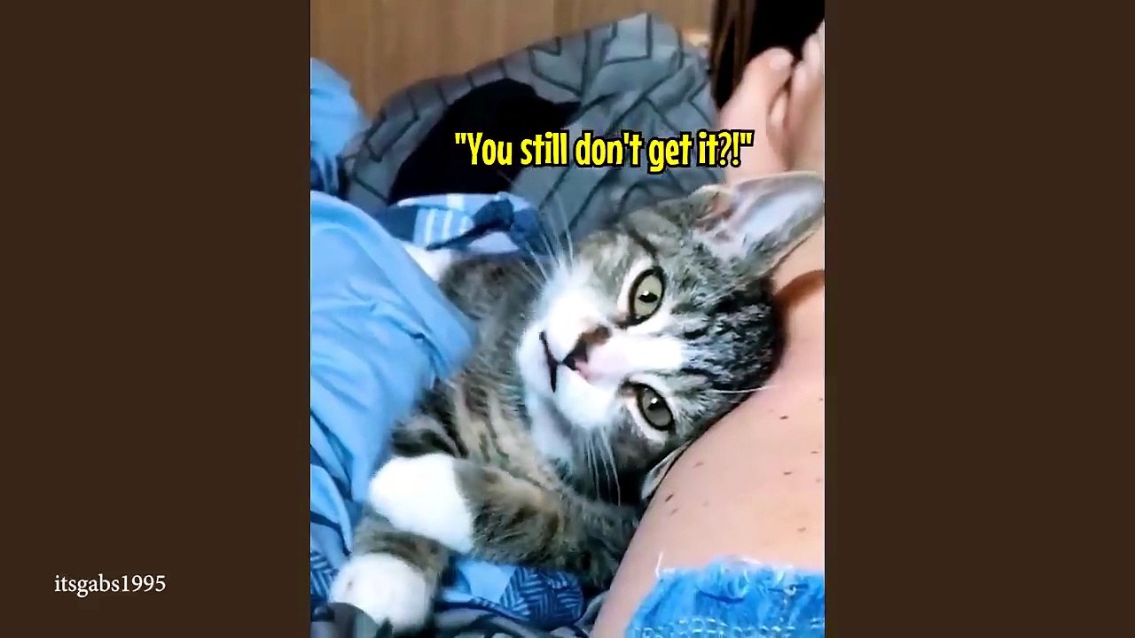 These Kittens Have The Weirdest Meows Ever! 🤣