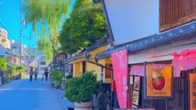 Japan vibes only ✨