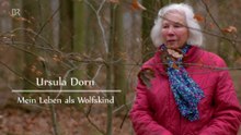 Ursula Dorn · Mein Leben als Wolfskind