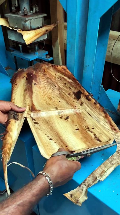 How real eco-friendly plates are manufactured in India 🇮🇳