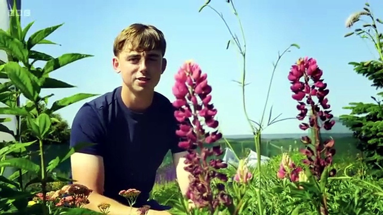 Gardeners' World Season 59 Episode 17