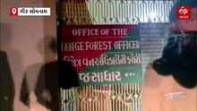 ગીર સોમનાથ વન વિભાગની મોટી કાર્યવાહી, સિંહને પજવનારા વેરાવળ-પ્રભાસના 8 આરોપીઓની અટકાયત
