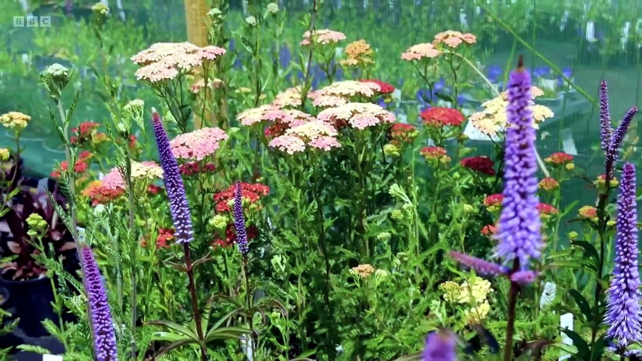 Gardeners World S59E17