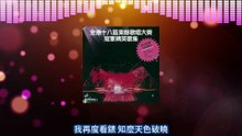 瑠璃色の夜へ (中森明菜)  +  心泛春潮 (林玉鳳)