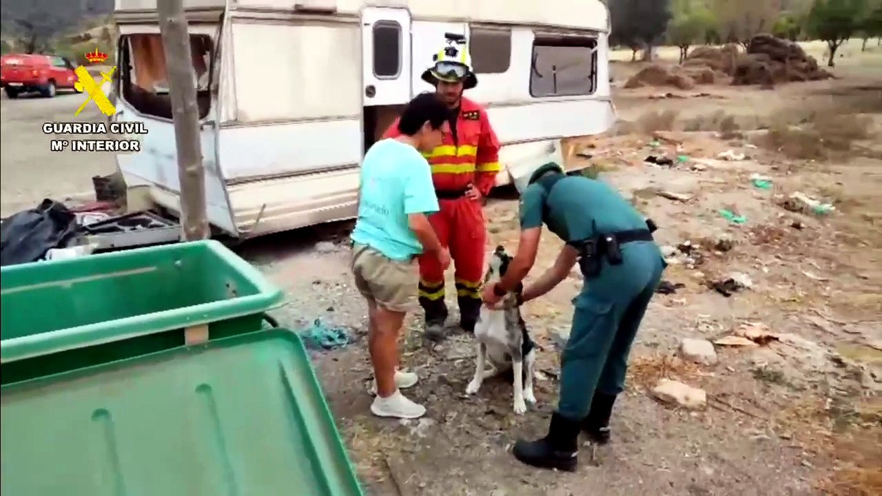 Imágenes de la localización y recuperación de mascotas afectadas por el incendio de Almería
