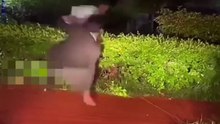 Ele só queria desabafar e o outro C@gar