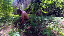 Building a Warm and Cozy Dugout for Survival. Log Shelter, Secret cave, Bushcraft
