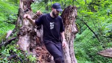 Building a Secret Shelter Inside a Giant Tree Stump   Solo Bushcraft, Survival