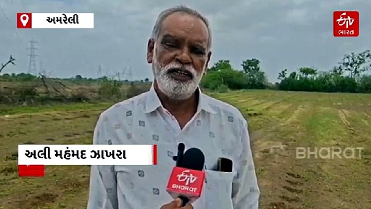 અમરેલીમાં 16 ઇંચ વરસાદ બન્યો આફત: બે વખત વાવણી નિષ્ફળ, હવે ત્રીજી વખત વાવણી કરવા ખેડૂતો બન્યા મજબૂર