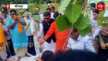यूपी में एक पेड़ मां के नाम; रायबरेली में रोपे गए पौधे मेरठ में भी पौधरोपण
