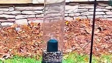 This Bird Feeder Outsmarted Every Squirrel 😳