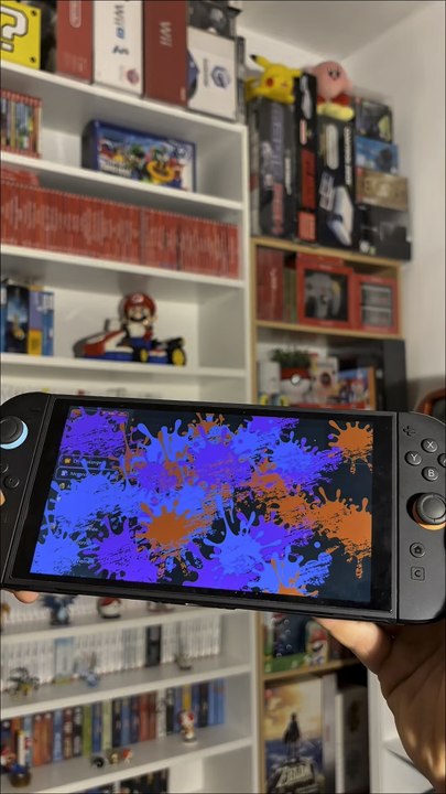 Ce secret a cassé ma Switch !