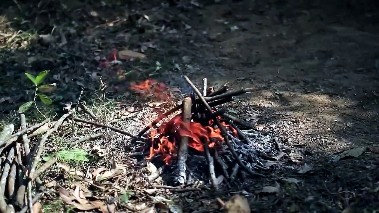 Building a Warm and Cozy Hollow for Survival, i...