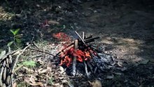 Building a Warm and Cozy Hollow for Survival, in the root of a fallen spruce  Underground House