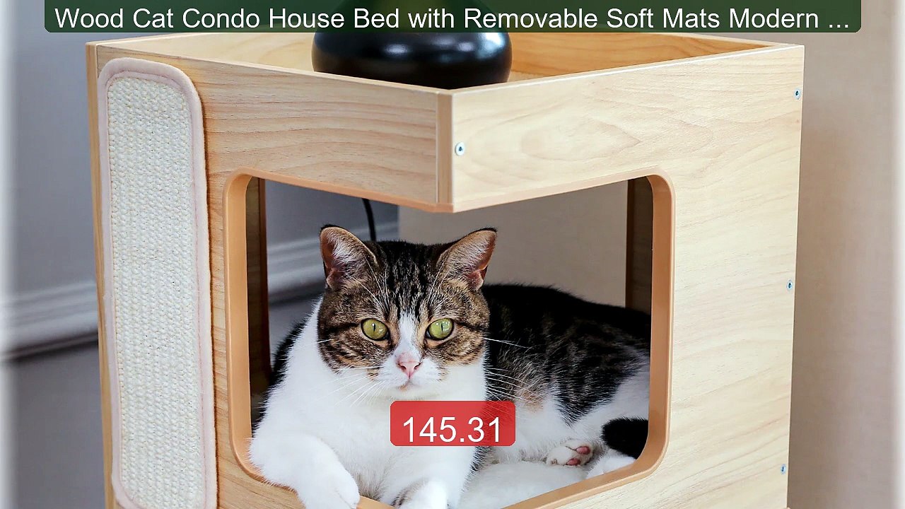 Wood Cat Condo House Bed with Removable Soft Mats Modern Cat T... -- Best Buy 2026 | Great Quality!