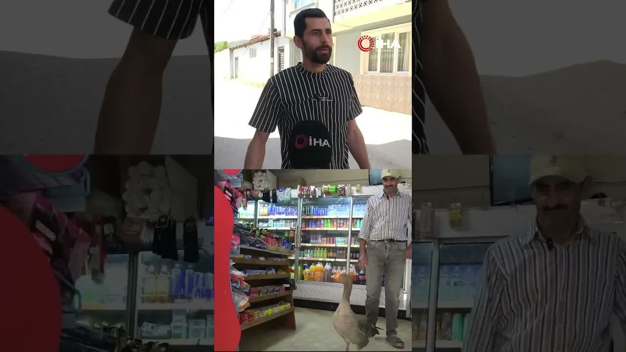 Zeytinyağıyla Hayata Döndü, Vefasıyla Şaşırttı