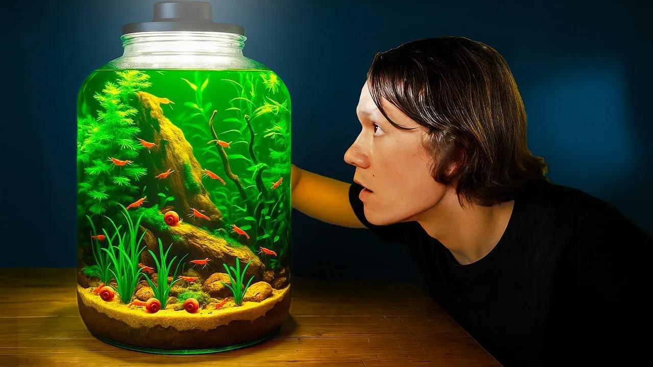 Hice un acuario gigante en frasco para camarones ¡Tienes que verlo!