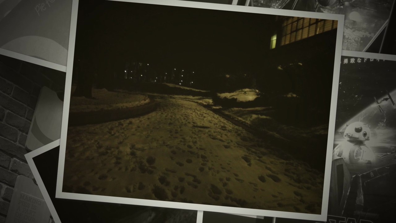 今井館聖書講堂の雪化粧＆舞浜イクスピアリ（「スターウォーズEP8／最後のジェダイ」5回目鑑賞）、小平中央公園（2018年1月下旬）