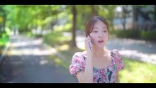 The Law Cafe Episode 12 Hindi Dubbed Korean Drama .mp4