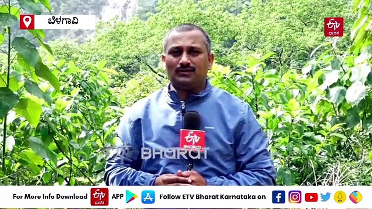 ಪ್ರವಾಸಿಗರ ಸ್ವರ್ಗ ದೂಧಸಾಗರದಲ್ಲಿ ಹೇಗಿದೆ ಜಲವೈಭವ? ದೇಶದ ಎತ್ತರದ ಜಲಪಾತ ಕಣ್ತುಂಬಿಕೊಳ್ಳಲು ನಿಷೇಧ ; ಪ್ರವಾಸಿಗರಿಗೆ ತೀವ್ರ ನಿರಾಸೆ