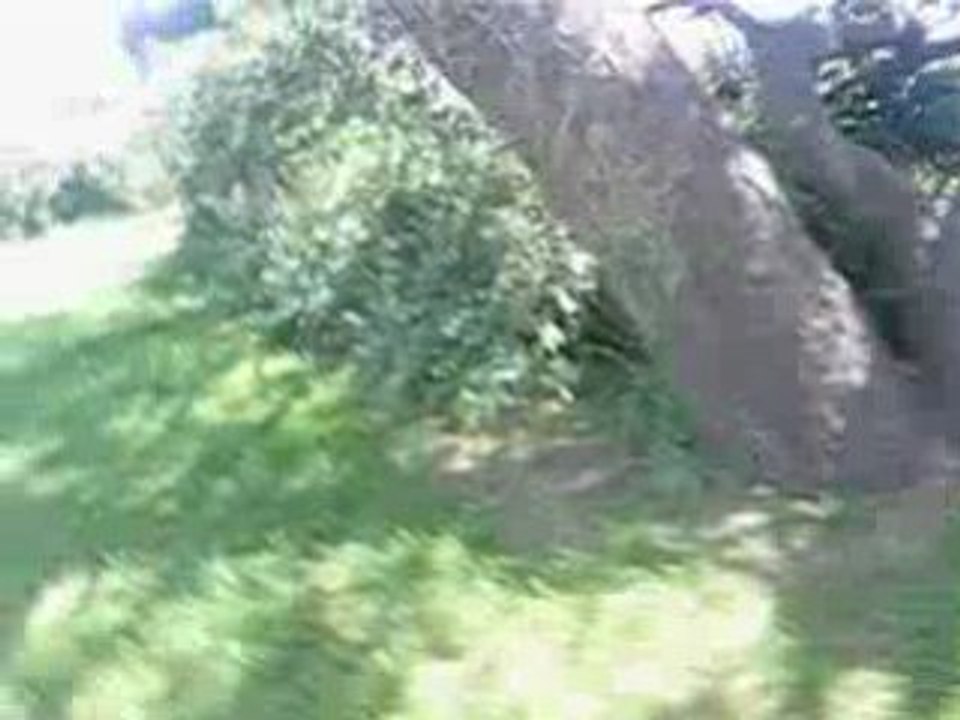 Video segi