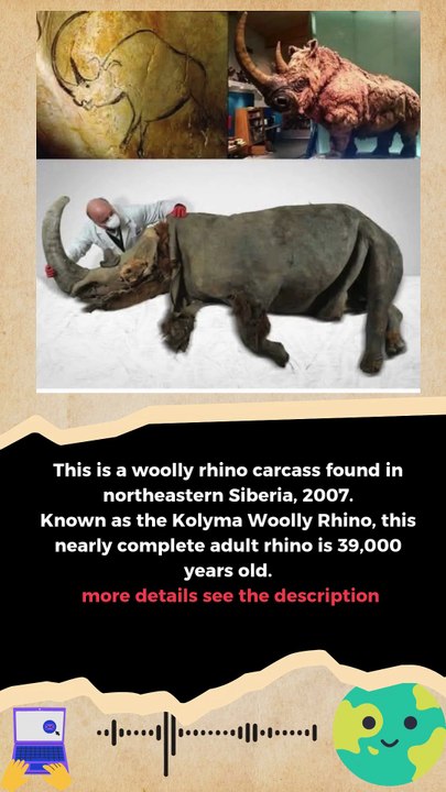 Kolyma Woolly Rhinoceros #news