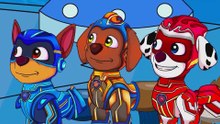 ¡No puede ser…! 😭 ¡Marshall no despierta! ¡Skye rompe en llanto! | Paw Patrol en Español | Rainbow 3