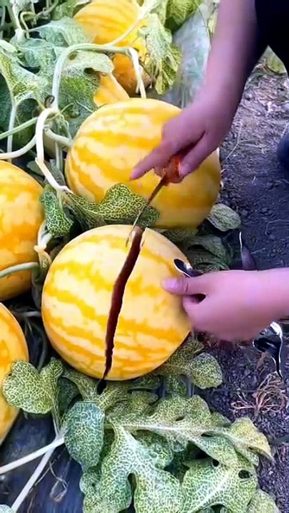 Can You Believe This Grows Naturally?