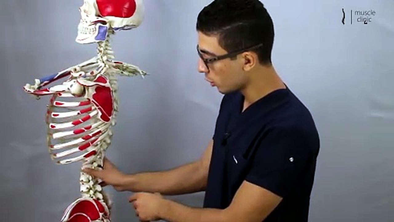 038 - 4 تمرينات لعلاج تقوس اسفل الظهر (انحناء ا...