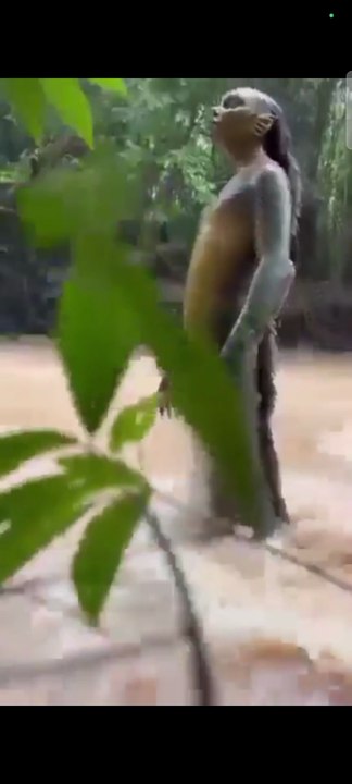 (Curiosity): What is lurking in this muddy river?! 😰