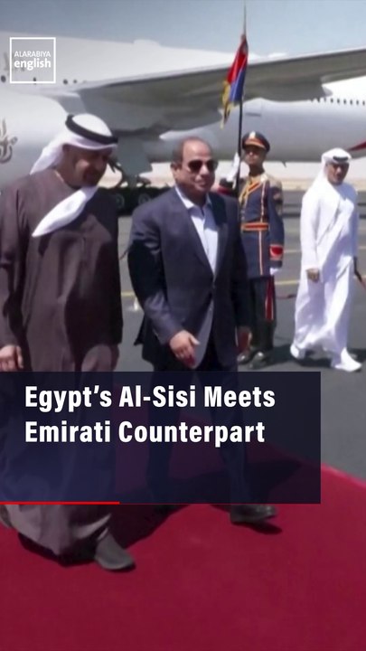Egypt’s Al-Sisi Meets Emirati Counterpart