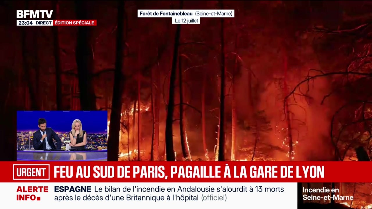 Énorme incendie au sud de Paris, l'A6 coupée - 12/07