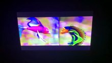 Shark Tale (2004) Not My Lips Scene
