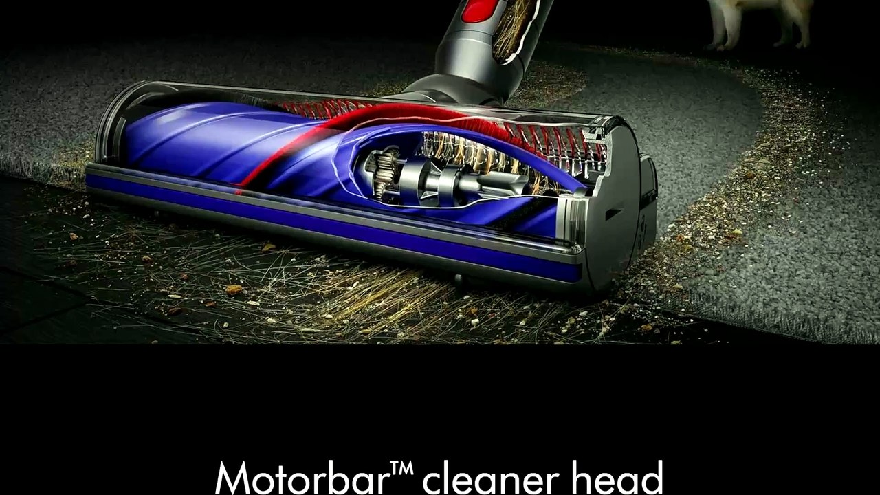Dyson V8 Cordless Vacuum Review & Test