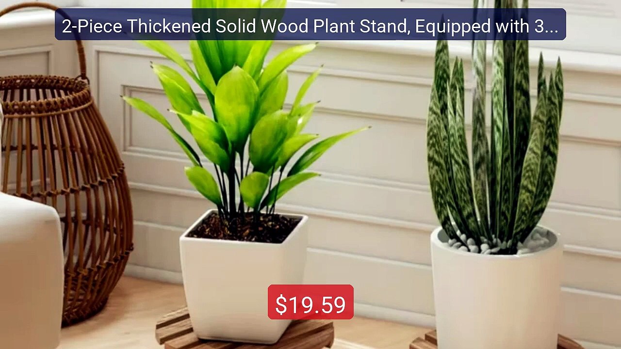 2-Piece Thickened Solid Wood Plant Stand, Equipped with 360° R... -- Best Buy 2026 | Great Quality!