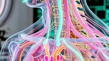 Tu cuerpo puede reconocer la compatibilidad antes que tu mente