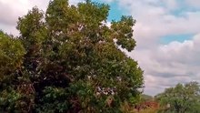 #viralvideo#tredingreels