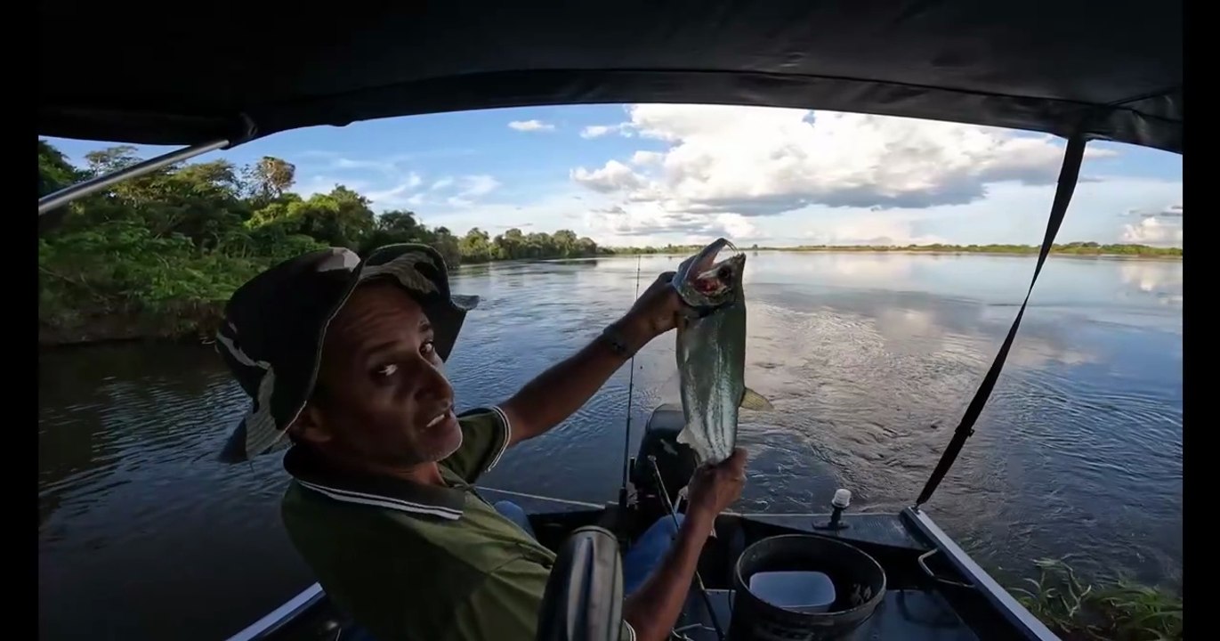 HOJE PEGUEI SÓ PIRANHA  #PescaEsportiva, #Pescaria, #Peixe, #Natureza