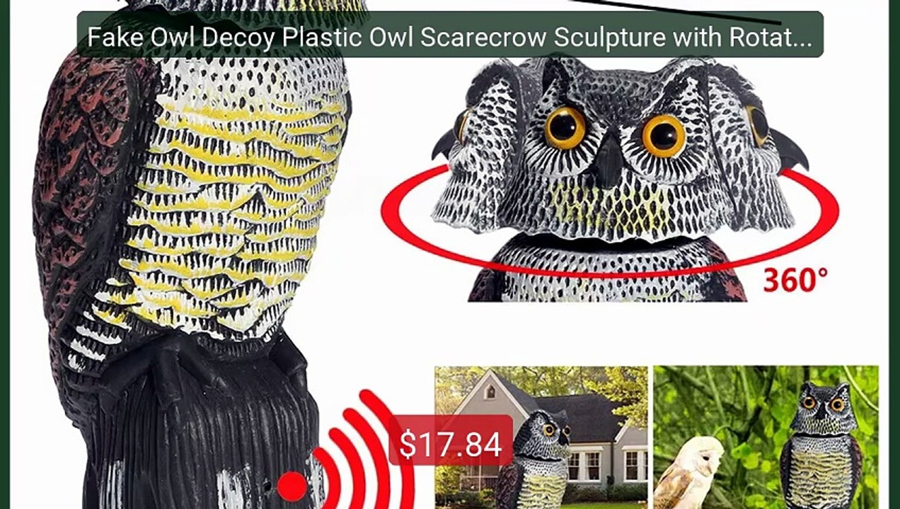 Fake Owl Decoy Plastic Owl Scarecrow Sculpture with Rotating H... -- Best Buy 2026 | Great Quality!