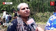 विकास बनाम हरा-भरा क्षेत्र: उत्तराखंड हाइवे के लिए पेड़ों की कटाई पर जनता का विरोध