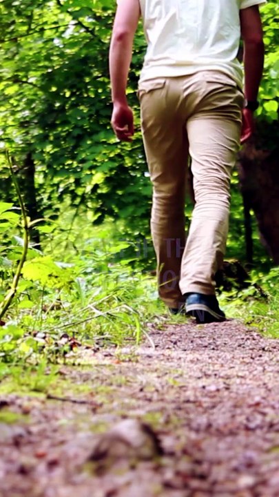 Let God Direct Your Path