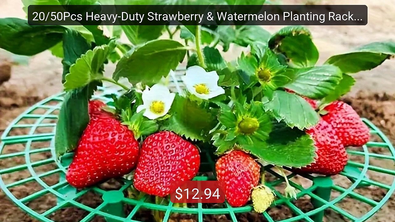 20/50Pcs Heavy-Duty Strawberry & Watermelon Planting Rack - G... -- Amazing Value 2026 | Must Have!