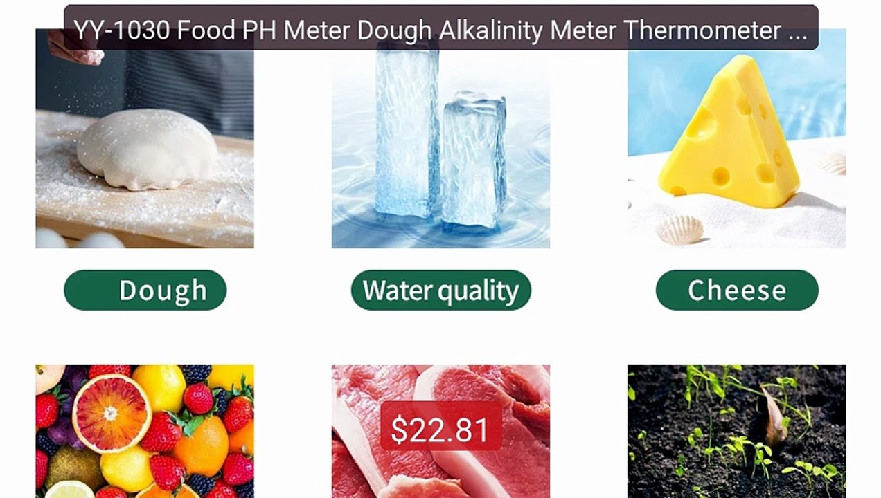 YY-1030 Food PH Meter Dough Alkalinity Meter Thermometer El... -- Top Pick 2026 | Unbeatable Price!