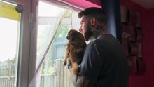 Pug kingdom bulletin