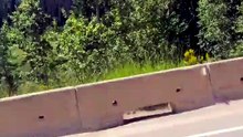 Tesla driver and passengers fall asleep while the car's driving 😱
