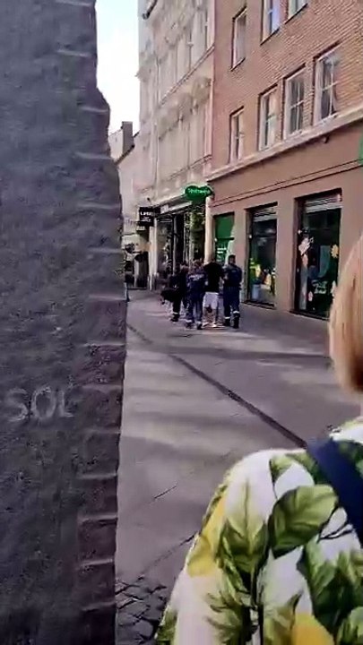 Snattare blir tagen av ordningsvakter i Malmö/Shoplifer in Malmo Sweden gets taken be security guards